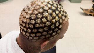 Do Rio para MS: 'Corte da Onça Pintada' conquista os jovens neste verão