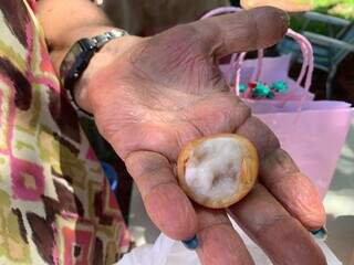 Darman esperou 11 anos para colher fruta ex&oacute;tica achachairu