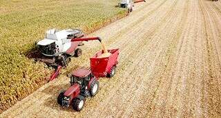 MS lidera crescimento do setor prim&aacute;rio e puxa ranking nacional