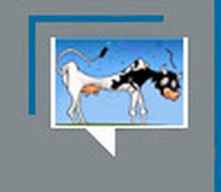 Feito com sol e sal: o tempo das charqueadas no MS