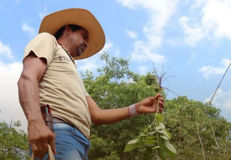  Jefferson é guia que ensina criança pegar no sono e espantar espíritos