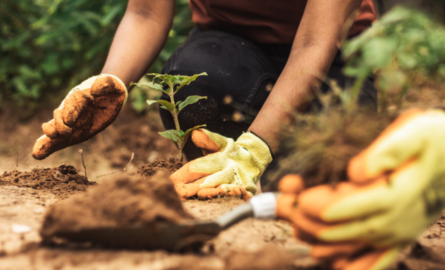 Minist&eacute;rio da Agricultura define regras para selos de boas pr&aacute;ticas no campo