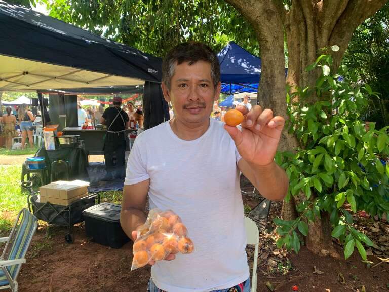 Darman esperou 11 anos para colher fruta exótica achachairu