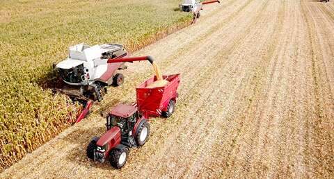 MS lidera crescimento do setor prim&aacute;rio e puxa ranking nacional