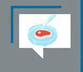 Feito com sol e sal: o tempo das charqueadas no MS