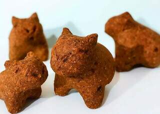 L&iacute;via desistiu de biologia para fazer sucesso com capixinha e capibe 