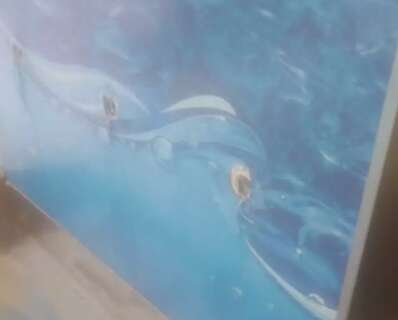 Unidade de sa&uacute;de &eacute; alvo de furto e atendimento fica parcialmente comprometido 