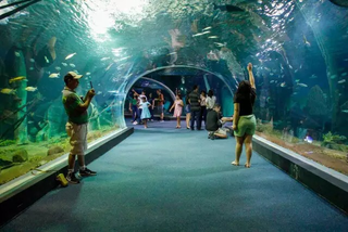 Roteiro une estrada, turismo e rock para quem viaja de moto pela Capital Roteiro une estrada, turismo e rock para quem viaja de moto pela Capital