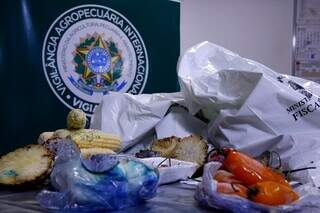 Nova regra esclarece o que pode entrar no Brasil na mala de viajantes Nova regra esclarece o que pode entrar no Brasil na mala de viajantes