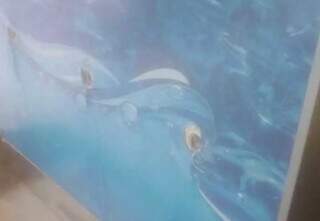 Unidade de saúde é alvo de furto e atendimento fica parcialmente comprometido Unidade de saúde é alvo de furto e atendimento fica parcialmente comprometido