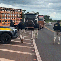 Fim de ano tem 4 presos por dirigir b&ecirc;bados e uma morte nas rodovias de MS