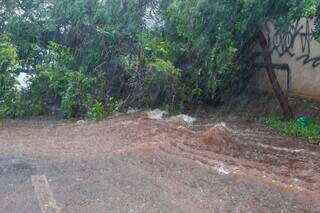 Árvore cai, bloqueia avenida e agrava alagamento durante temporal na Capital Árvore cai, bloqueia avenida e agrava alagamento durante temporal na Capital