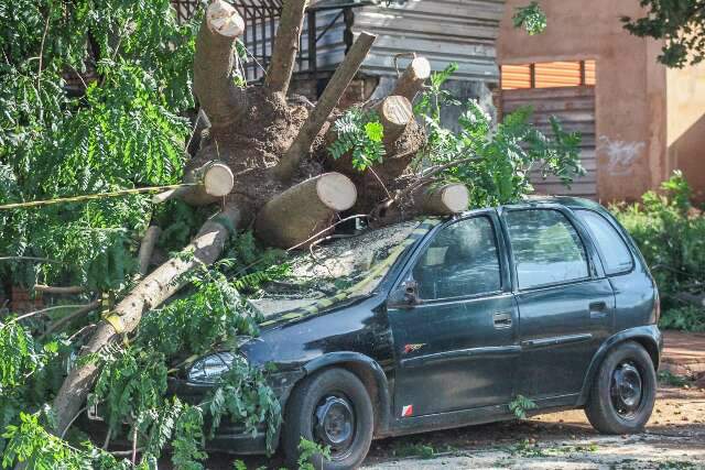 &Aacute;rvore atinge carro de pintor no primeiro dia de trabalho do ano
