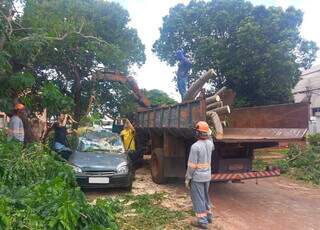 &Aacute;rvore atinge carro de pintor no primeiro dia de trabalho do ano