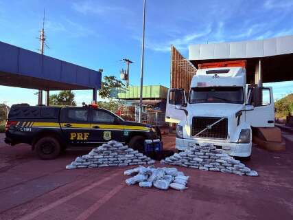 Apreens&atilde;o de skunk marca primeira ocorr&ecirc;ncia com a droga em MS neste ano