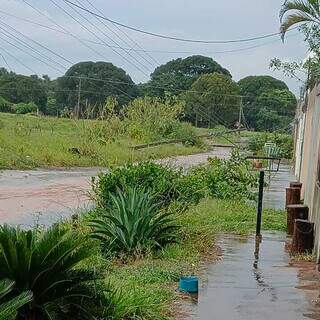 Queda de tr&ecirc;s postes deixa Estrela Parque sem energia ap&oacute;s chuva forte