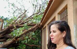 Temporal derruba árvore de 30 anos e atinge duas casas em Campo Grande Temporal derruba árvore de 30 anos e atinge duas casas em Campo Grande
