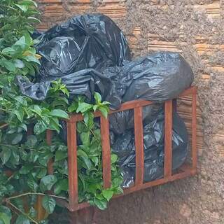 Vizinhos encontram animais mortos em im&oacute;vel e denunciam abandono