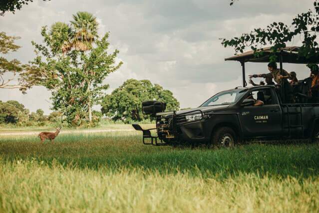 Pantanal coloca MS entre os grandes destinos de ecoturismo do Brasil