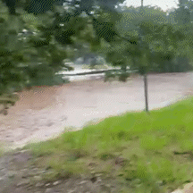 C&oacute;rrego Prosa na Ricardo Brand&atilde;o transborda em diversos pontos