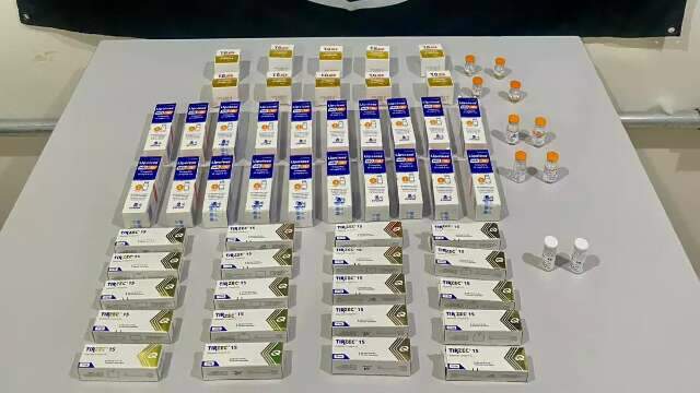 Rapaz &eacute; preso com emagrecedores escondidos em pel&uacute;cias e caixas de chocolate