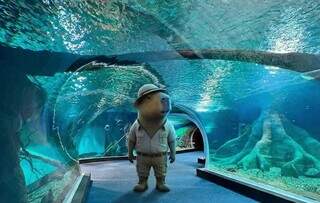 Mascote &eacute; criado para combater ideia de que Campo Grande n&atilde;o tem lazer