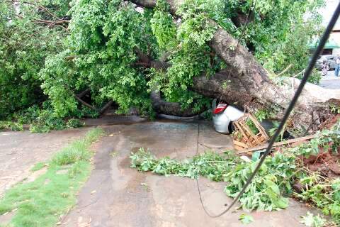 Falta de luz ou internet durante chuva? Veja como exigir reparos e desconto