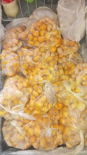 Família enche Uno com pequi e garante estoque para o ano todo Família enche Uno com pequi e garante estoque para o ano todo