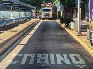 Queda de árvore bloqueia pista para ônibus e muda fluxo na Rui Barbosa Queda de árvore bloqueia pista para ônibus e muda fluxo na Rui Barbosa