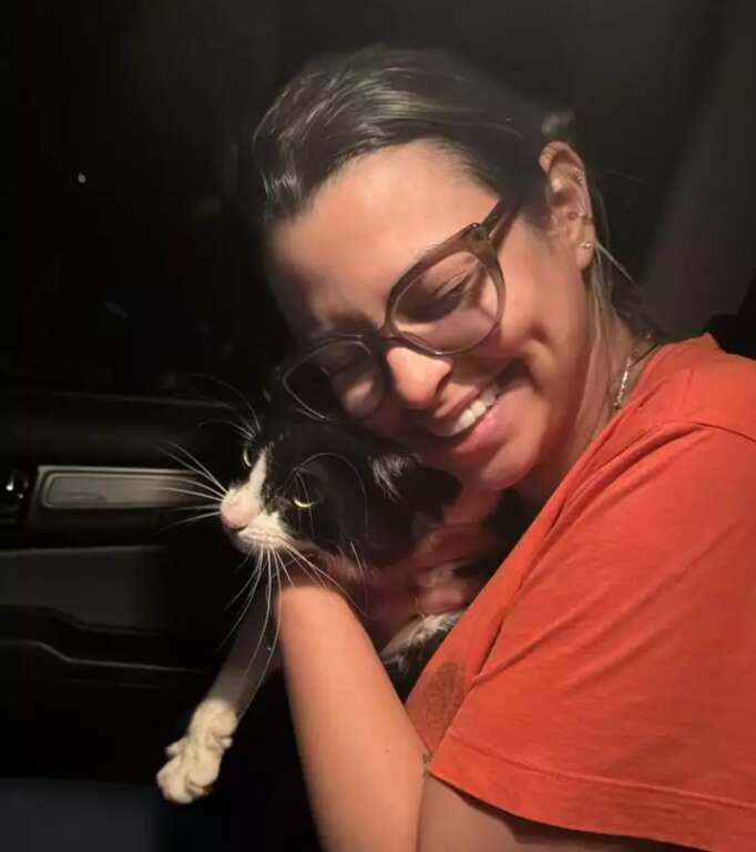 Criado em apartamento, gato desaparece e é encontrado a 112 km 