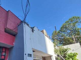 Queda de árvore bloqueia pista para ônibus e muda fluxo na Rui Barbosa Queda de árvore bloqueia pista para ônibus e muda fluxo na Rui Barbosa