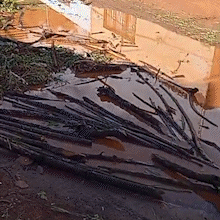 Rua alaga a cada chuva e morador pede socorro: &ldquo;vira um brejo&rdquo;
