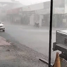 Ap&oacute;s temporal com estragos, chuva volta forte a Campo Grande nesta quarta