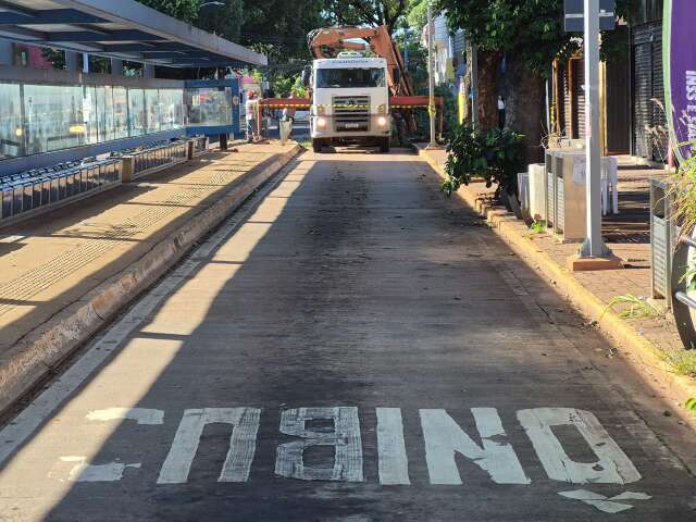 Queda de &aacute;rvore bloqueia pista para &ocirc;nibus e muda fluxo na Rui Barbosa