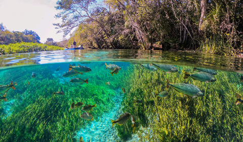 Juiz extingue processo e mant&eacute;m taxa tur&iacute;stica de R$ 15 em Bonito