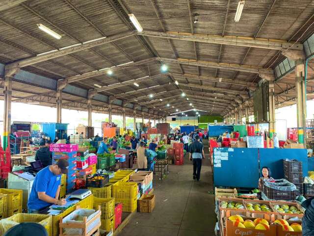 Ceasa mostra caminho para agricultor comercializar sua produ&ccedil;&atilde;o na Central