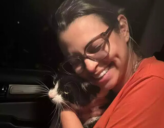 Criado em apartamento, gato desaparece e é encontrado a 112 km Criado em apartamento, gato desaparece e é encontrado a 112 km