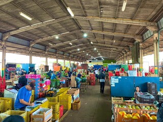 Ceasa mostra caminho para agricultor comercializar sua produ&ccedil;&atilde;o na Central