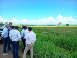 Expans&atilde;o da celulose leva governo a discutir moradia e infraestrutura