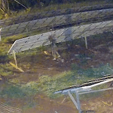 C&acirc;meras flagram furto de R$ 250 mil em equipamentos de energia solar