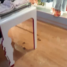 Enxurrada causa preju&iacute;zo de R$ 60 mil em loja de roupas infantis em bairro nobre