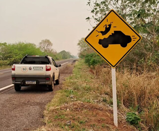 Estudo inédito aponta que placas de travessia de fauna pouco reduzem acidentes Estudo inédito aponta que placas de travessia de fauna pouco reduzem acidentes