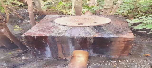 Por dano ambiental, concession&aacute;ria doar&aacute; mudas e pagar&aacute; R$ 7,9 mil para entidade