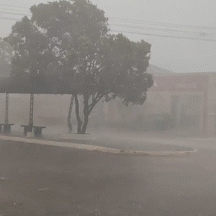 Vento forte destelha casas, pr&eacute;dio p&uacute;blico e derruba &aacute;rvores em Bataypor&atilde;