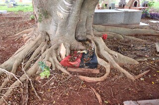 Ossada humana &eacute; encontrada pr&oacute;xima &agrave; oferenda religiosa em cemit&eacute;rio 