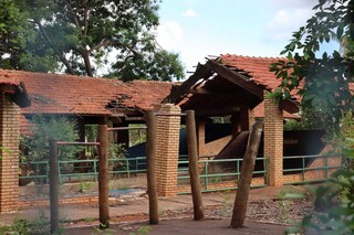 Obras de reforma do Horto Florestal devem come&ccedil;ar s&oacute; em mar&ccedil;o