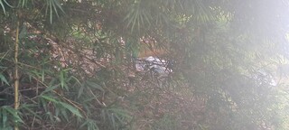 Corpo de paraguaio é encontrado no Rio Apa após 9 dias de buscas Corpo de paraguaio é encontrado no Rio Apa após 9 dias de buscas