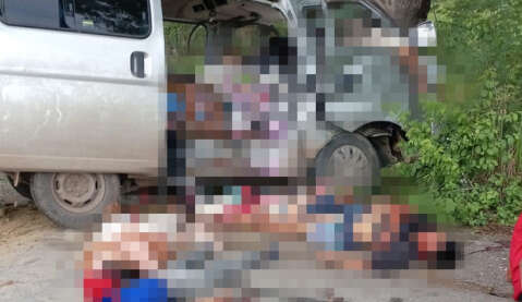 Van bate em &aacute;rvore e deixa sete mortos na Bioce&acirc;nica