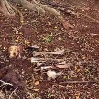 Ossada humana &eacute; encontrada pr&oacute;xima &agrave; oferenda religiosa em cemit&eacute;rio 