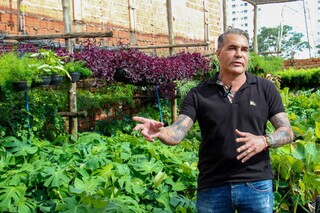 Com t&eacute;cnicas de paisagismo d&aacute; para cultivar frutas at&eacute; dentro de casa